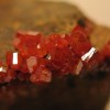 Vanadinite crystals